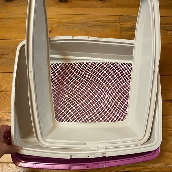 2 Cat Litter Pans & Scooper Pan - Picture 12 of 14